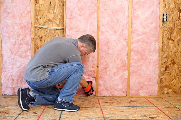 Best Local Insulation Services  in Winston Salem, NC