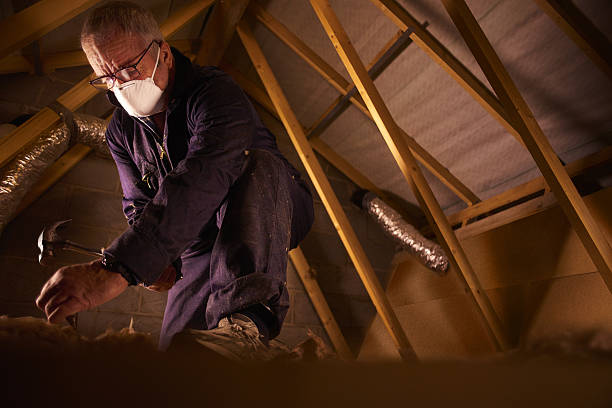 Best Fiberglass Insulation  in Winston Salem, NC