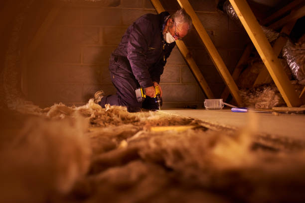 Best Residential Insulation Services  in Winston Salem, NC